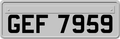 GEF7959