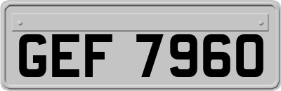 GEF7960