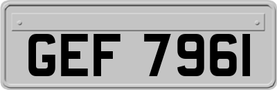 GEF7961