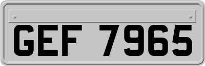 GEF7965