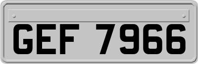 GEF7966