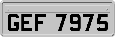 GEF7975