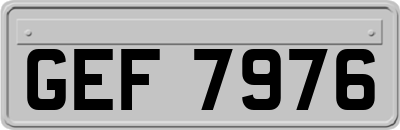 GEF7976
