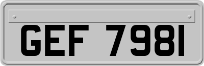 GEF7981
