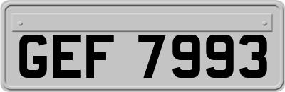 GEF7993
