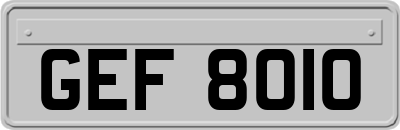 GEF8010