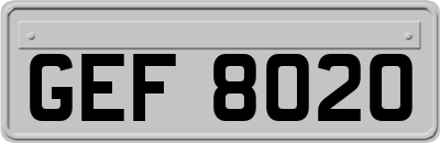 GEF8020