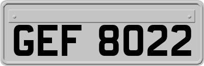GEF8022