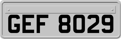 GEF8029