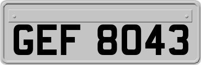GEF8043