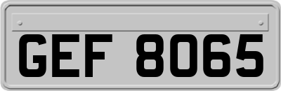 GEF8065