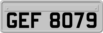 GEF8079