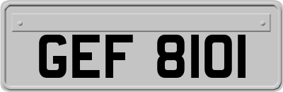 GEF8101