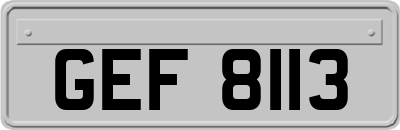 GEF8113