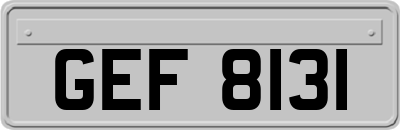 GEF8131