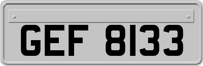 GEF8133