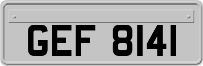 GEF8141