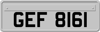 GEF8161
