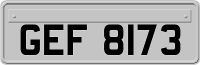 GEF8173