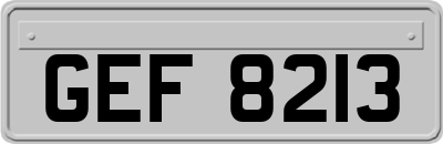 GEF8213