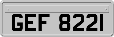 GEF8221