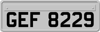 GEF8229