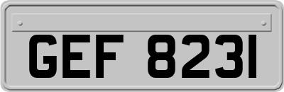 GEF8231