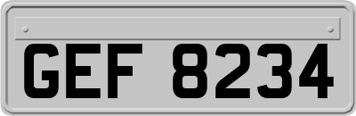 GEF8234