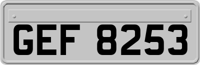 GEF8253