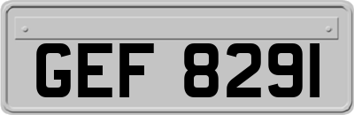 GEF8291