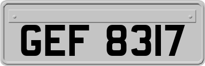 GEF8317