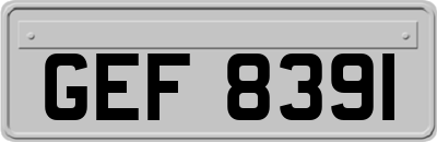 GEF8391