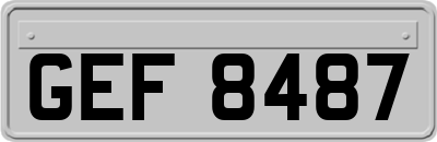 GEF8487
