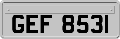 GEF8531