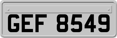 GEF8549