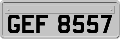 GEF8557