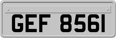 GEF8561