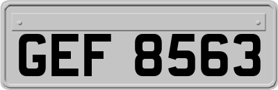 GEF8563