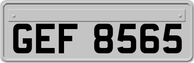 GEF8565