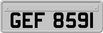 GEF8591