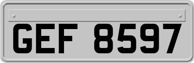 GEF8597