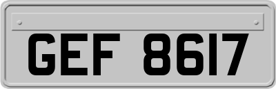 GEF8617