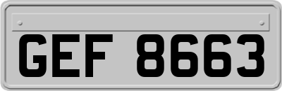 GEF8663