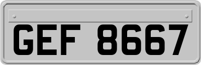 GEF8667