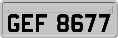 GEF8677