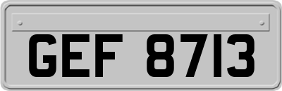 GEF8713