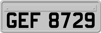 GEF8729