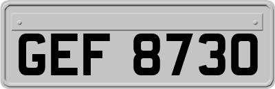 GEF8730