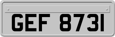 GEF8731
