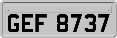 GEF8737